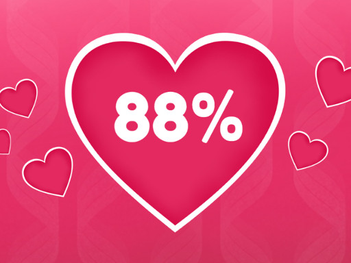 Love Tester gameplay